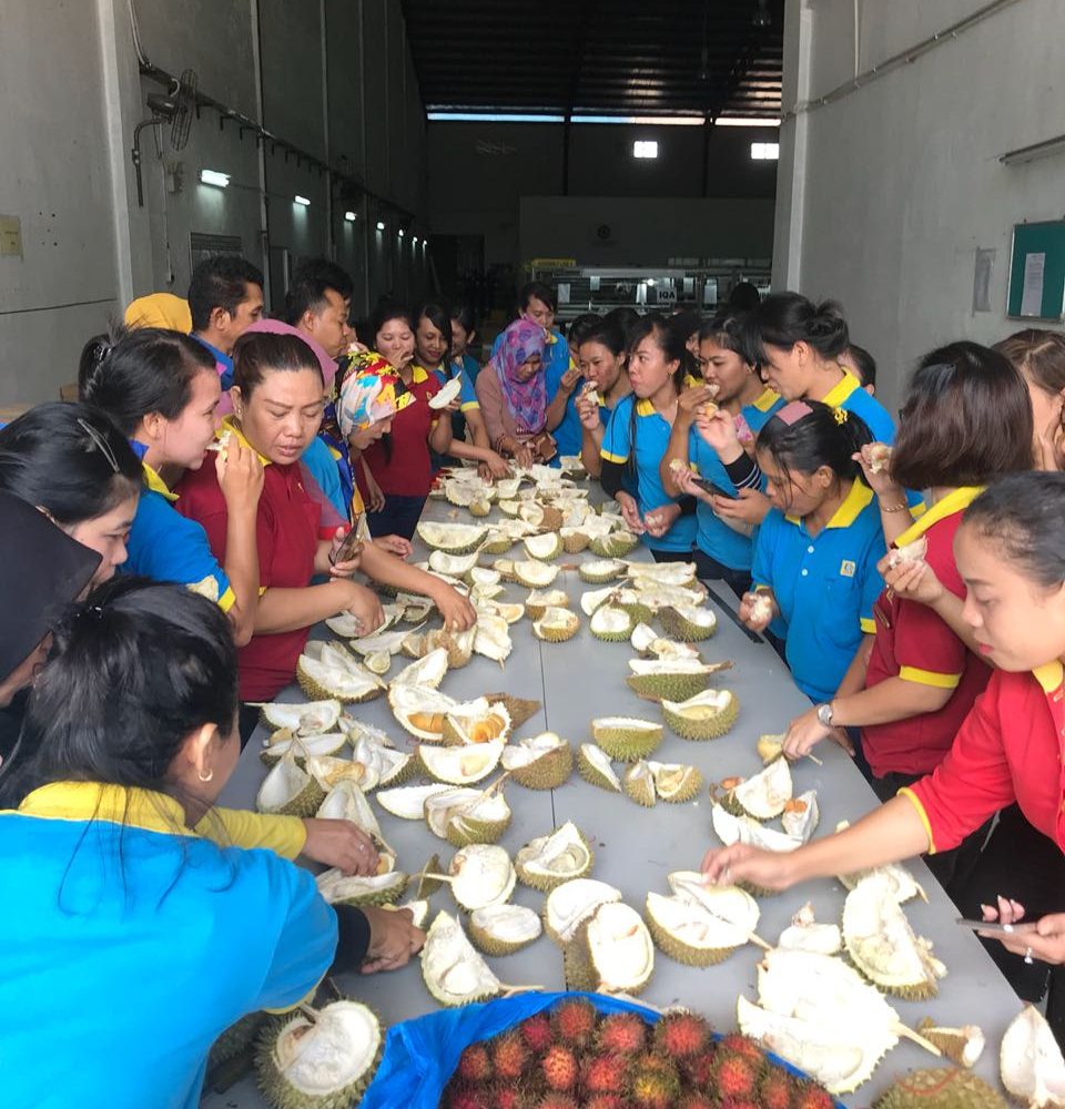 Durian Feast  2