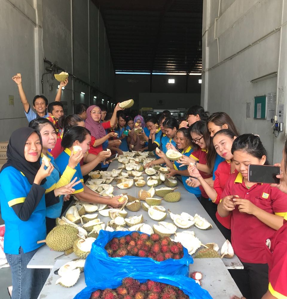 Durian Feast  1